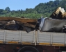 Prima giornata ecologica 19/07/2014