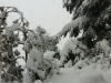 lavori neve 7