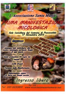 Prima manifestazione micologica